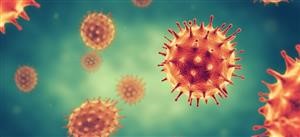 Reusable Face Mask Usa