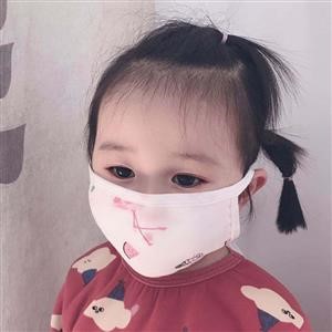 Reusable Face Mask Pattern Free